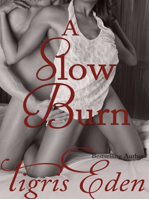 cover image of A Slow Burn
